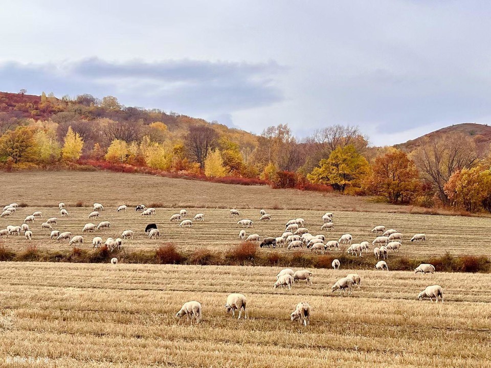 mmexport1758817954687