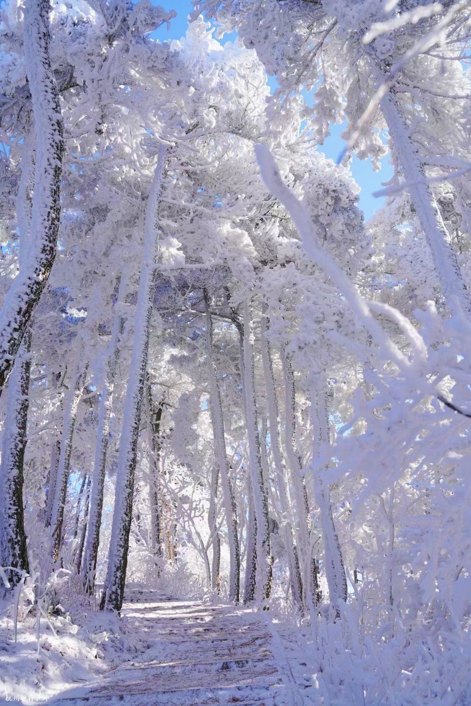 mmexport1758818635948