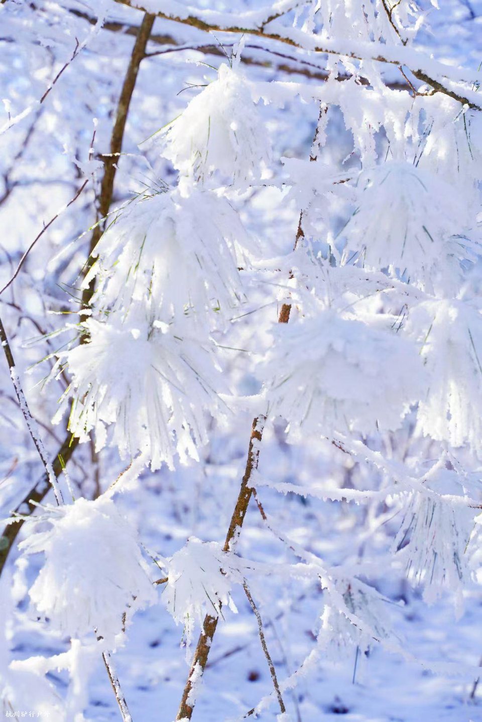 mmexport1758818639872