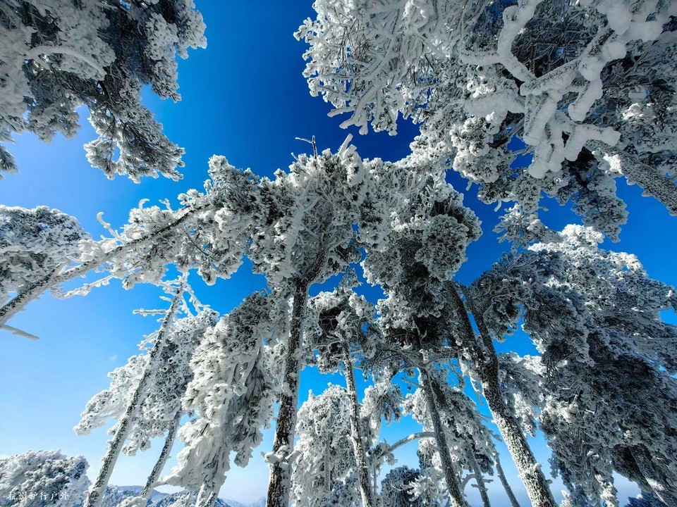 mmexport1758818641807