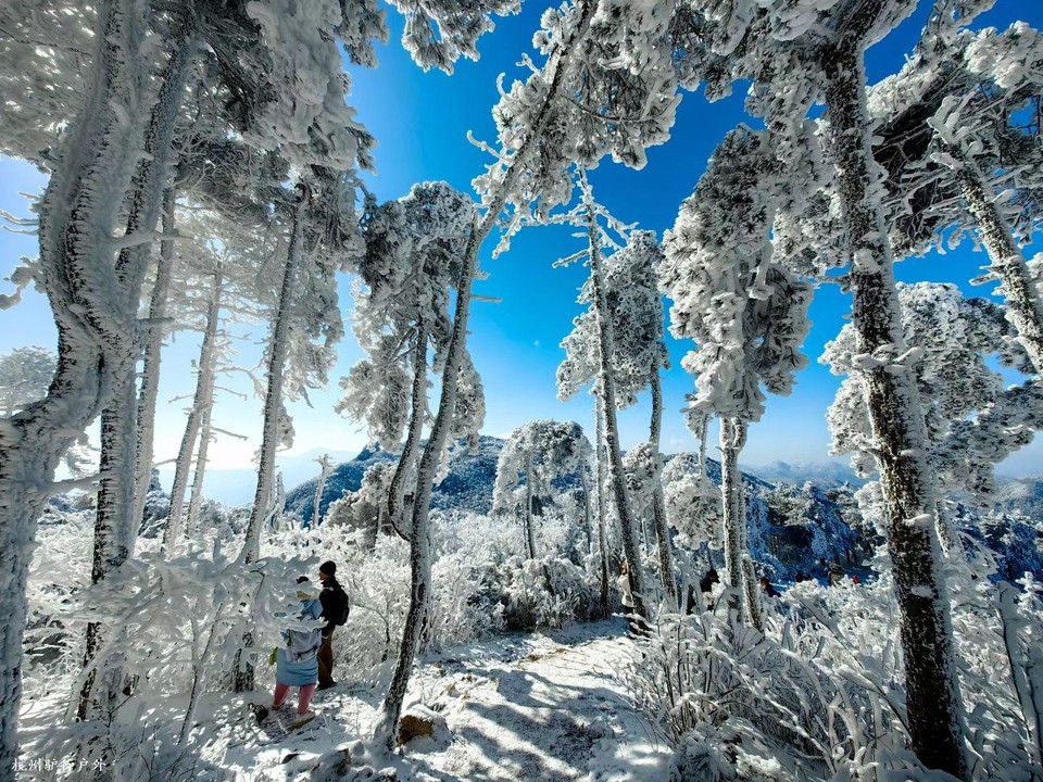 mmexport1758818645542