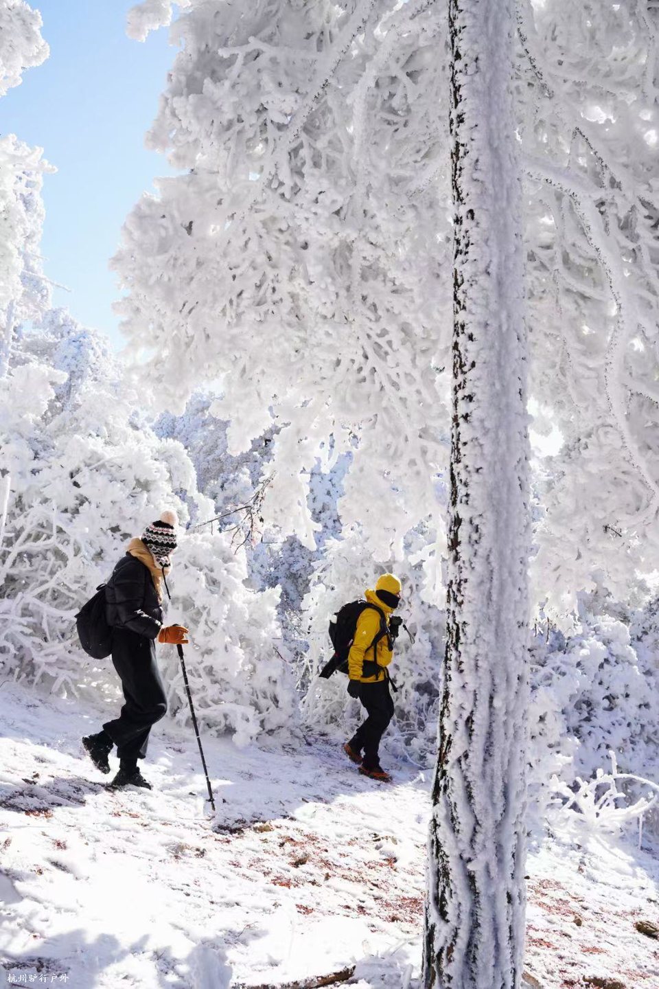 mmexport1758818647420