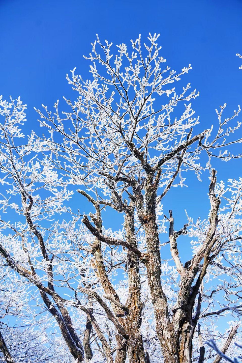 mmexport1758818649361