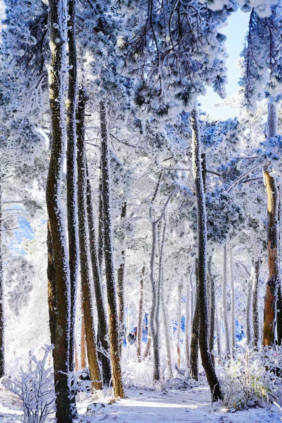 mmexport1758818651360