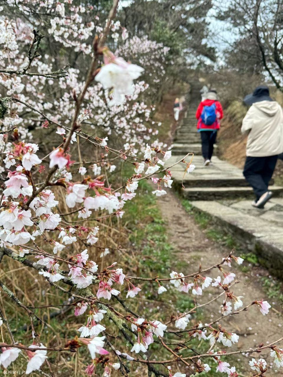 mmexport1758819043327