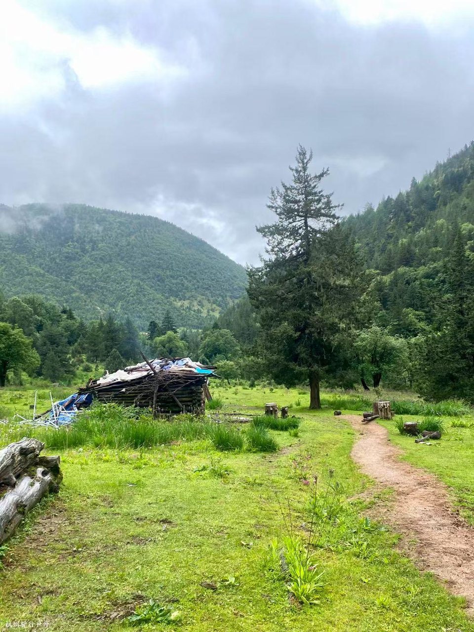 mmexport1758819564832