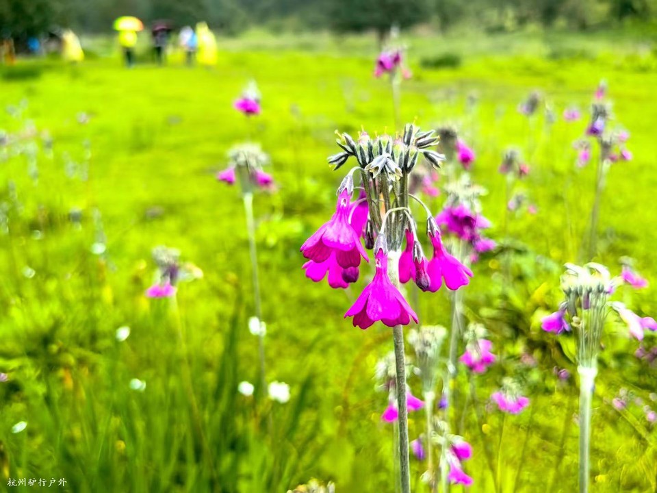 mmexport1758819568602