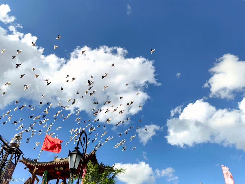 mmexport1758819798615