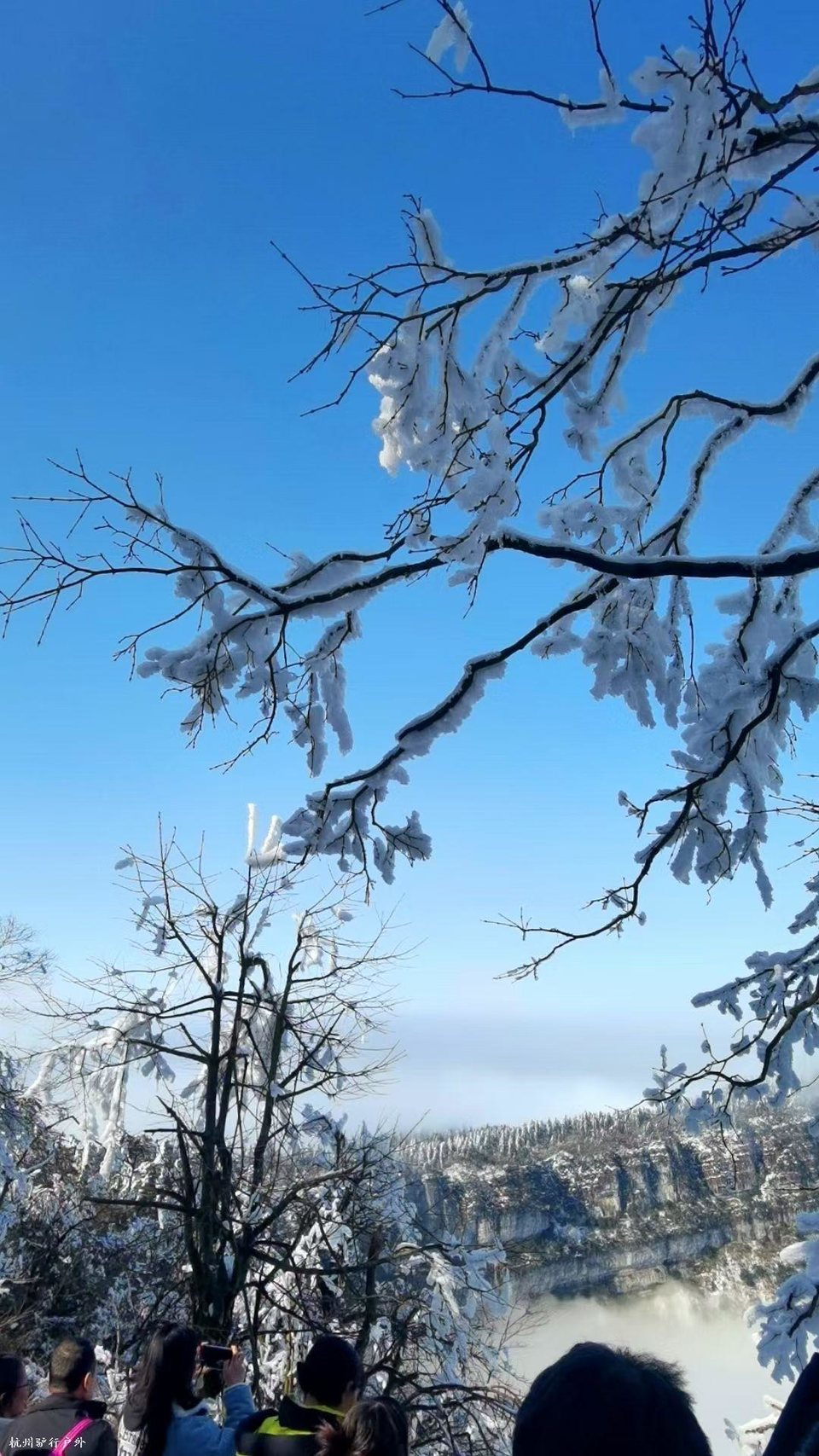 mmexport1758820155366