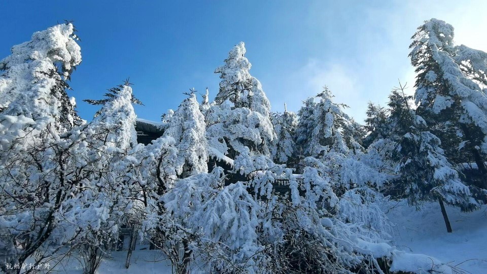 mmexport1758820162964