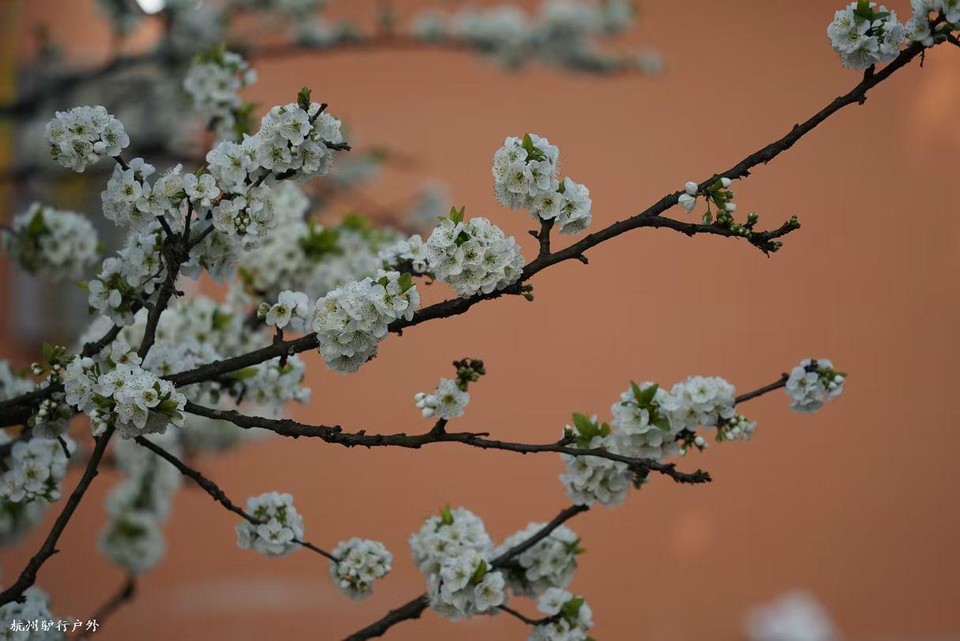 mmexport1758820477296