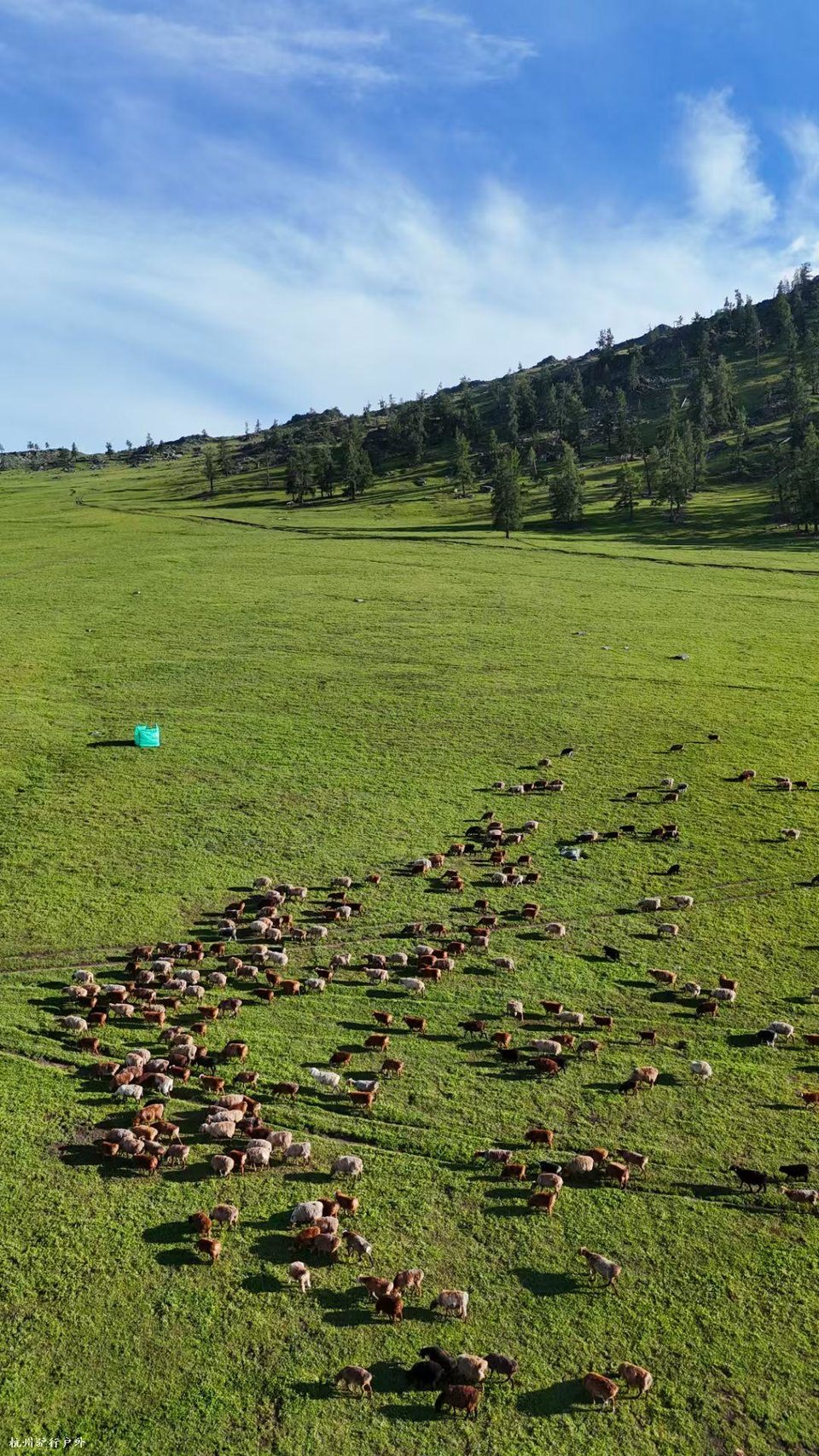 mmexport1758821084930