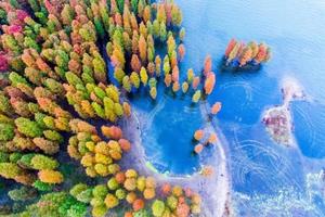 【特价活动】12.13 四明湖十里红杉林，秋色正当时，徒步燕窝古道