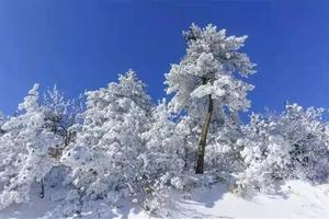 【新年登高】1.1 杏梅尖，冬日徒步，新年登高步步高，偶遇雾淞胜景，冰挂，云海