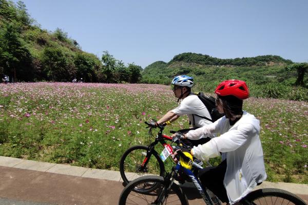 【环湖骑行】5.24 青山湖骑行，高颜值绿道，天然氧吧，水上森林，去看路上最美的风景~
