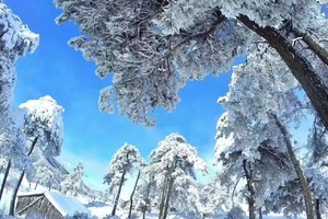 【周六出发】1.24 百丈岭，下大雪啦，超冷空气来袭，偶遇雾凇，雪景，冰挂，云海