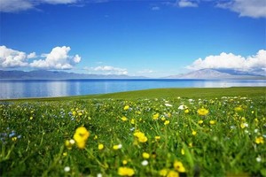 【端午假期】6.19-29 伊犁经典11天大环，小车团，独山子、赛里木湖、伊昭公路、玉湖、夏塔、琼库什台、那拉提、唐布拉