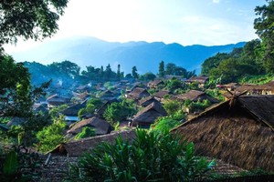 【秘境沧源】10月-12月，哀牢山-金山原始森林-沧源-翁丁村-崖画-景迈山-糯干古寨-版纳-中科院-野象谷-傣族园