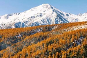 【滇西北秋色】10.28-11.4 大理，怒江，丙中洛，德贡，孔雀山，梅里日照金山，白马雪山，纳帕海，白水台，虎跳峡