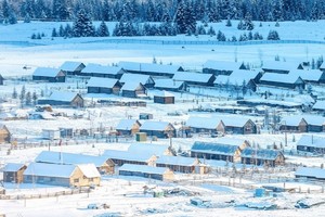 【特价团期】11.22-29 冰雪阿勒泰，喀纳斯，禾木，保成行！2-6人小团，将军山夜滑，魔鬼城，航拍冰雪北疆8日之旅