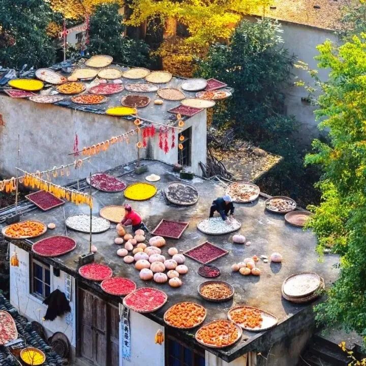 src=http___img.daizitouxiang.com__tag=a&url=mmbizz-zqpicz-zcn_mmbiz_jpg_splGlp9zuG8xOqptziapIFFESE0GDia8Gcyavw17ib4E7NhG5XKuicMoAs1v7QV10KHe1NA8tlqYKOErqoAKeQN25Q_640_wx_fmt=jpeg&refer=http___img..jpg 图片