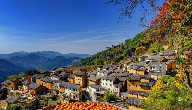 8694a4c27d1ed21b8bdcb350759113c150da3f77.jpg 图片