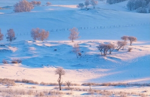 【冬日雪原】12月-2月，北纬43°的雪国童话·乌兰布统5日，冬日奇旅