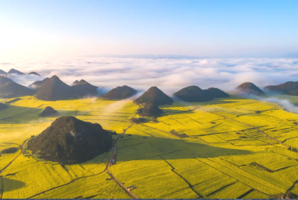 【春节假期】2.17-23 滇东春7日，元阳梯田-罗平油菜花-九龙瀑布-坝美-普者黑-东风韵-弥勒-建水-屏边-大围山