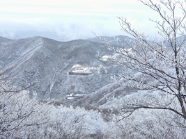 冷空气来袭，12.25 桐杭岗雾凇！桐杭岗徒步（媲美龙王山）偶遇雪景看雾松奇观，山脊防火道