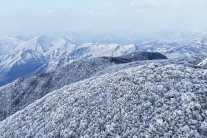 紧急发团，冷空气来袭！1.2 桐杭岗雾凇！新年登高，桐杭岗徒步（媲美龙王山）偶遇雪景看雾松奇观，山脊防火道