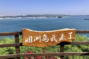 【春节假期】2.18-21 巨鲸花园，别让期待落空！赶紧预约专属北海涠洲岛观鲸，赴一场心灵之约