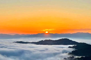 【秘境沧源】3.21-28 哀牢山-金山原始森林-沧源-翁丁村-崖画-景迈山-糯干古寨-版纳-中科院-野象谷-傣族园