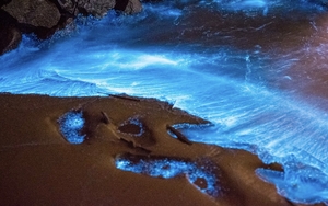 【五一假期】5.1-5.4 平潭岛，偶遇堪比“极光”蓝眼泪，适宜亲子，蔚蓝大海，塘屿岛，猴研岛，东海仙境