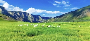 【走进祁连山】5.30-6.4 乌鞘岭-祁连山生态秘境-柴尔龙海-冰沟河-八宝河谷-汉明长城遗址-山丹军马场，徒步6日