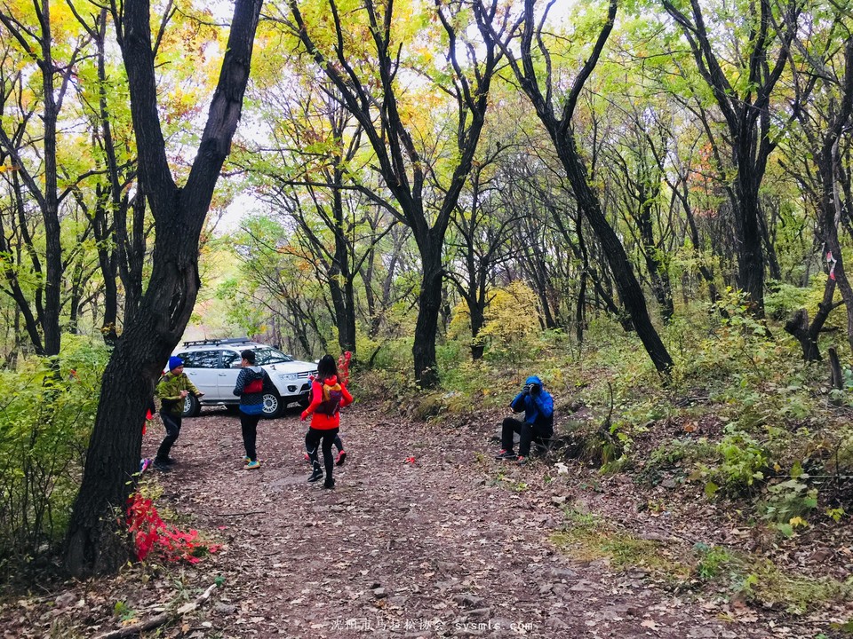 微信图片_20171016160101