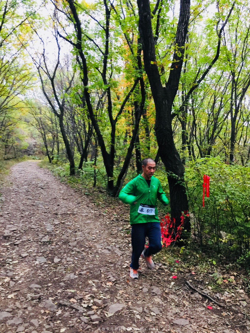 微信图片_20171016160140