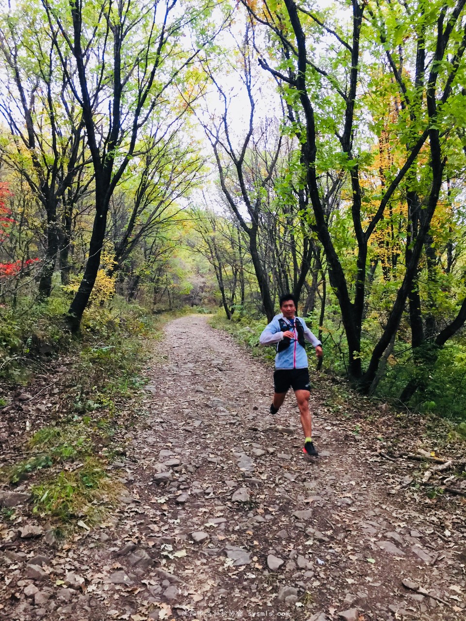 微信图片_20171016160154