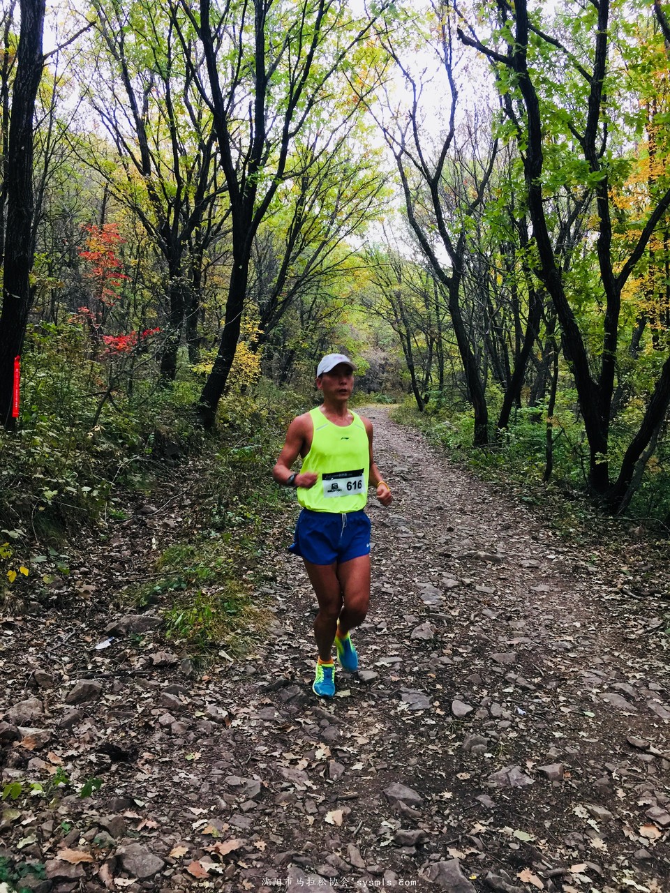 微信图片_20171016160157