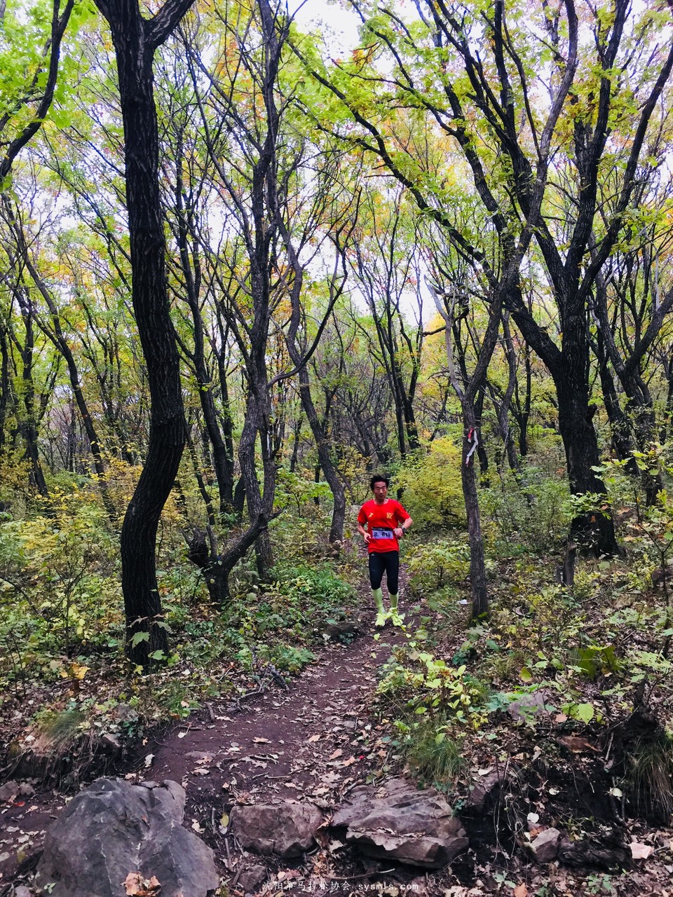 微信图片_20171016160201