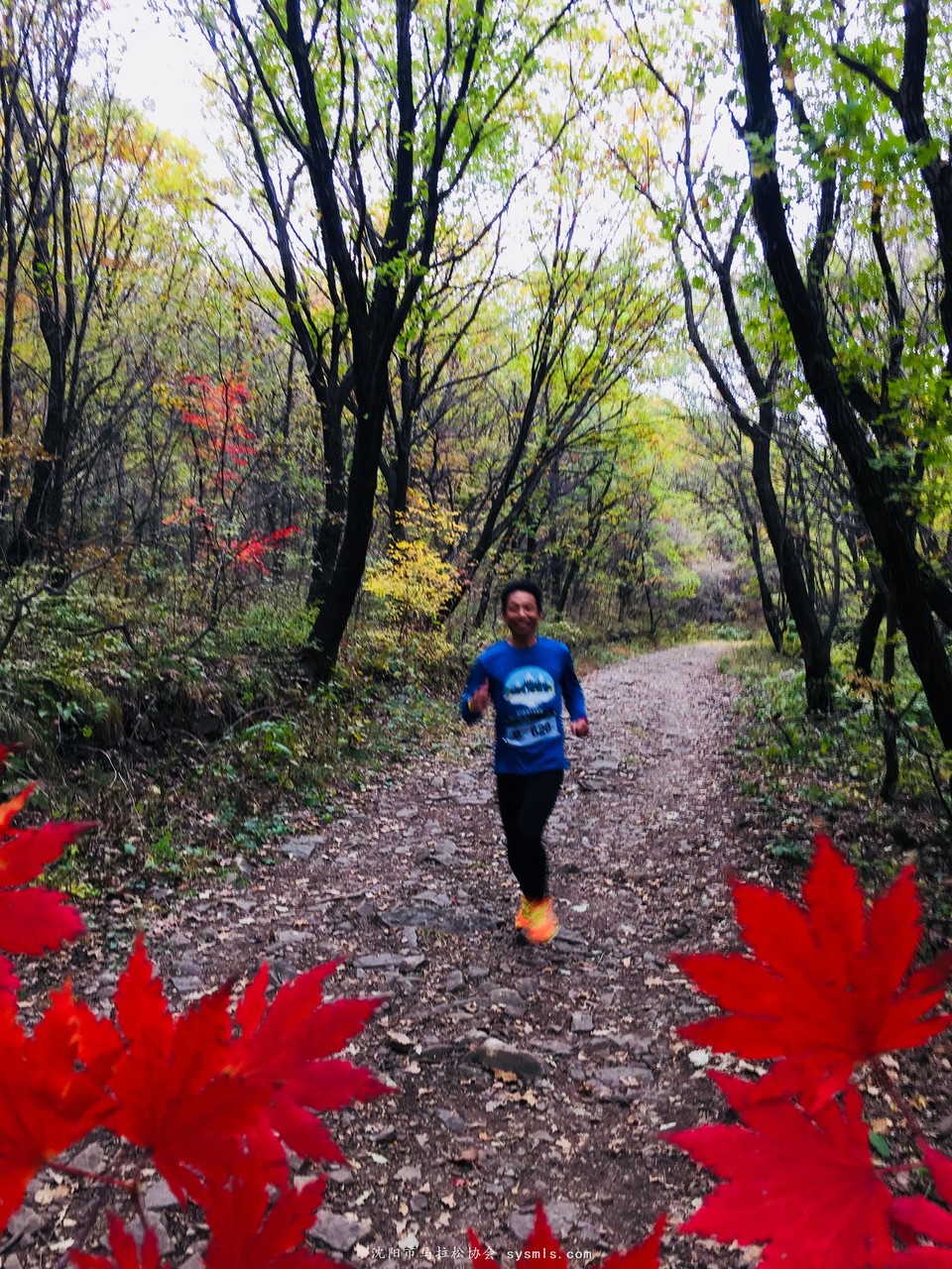 微信图片_20171016160210