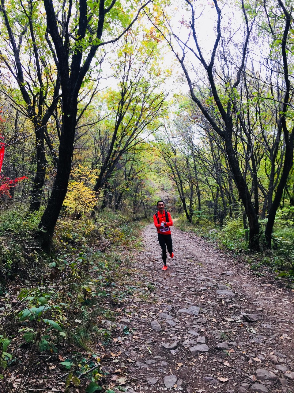 微信图片_20171016160217