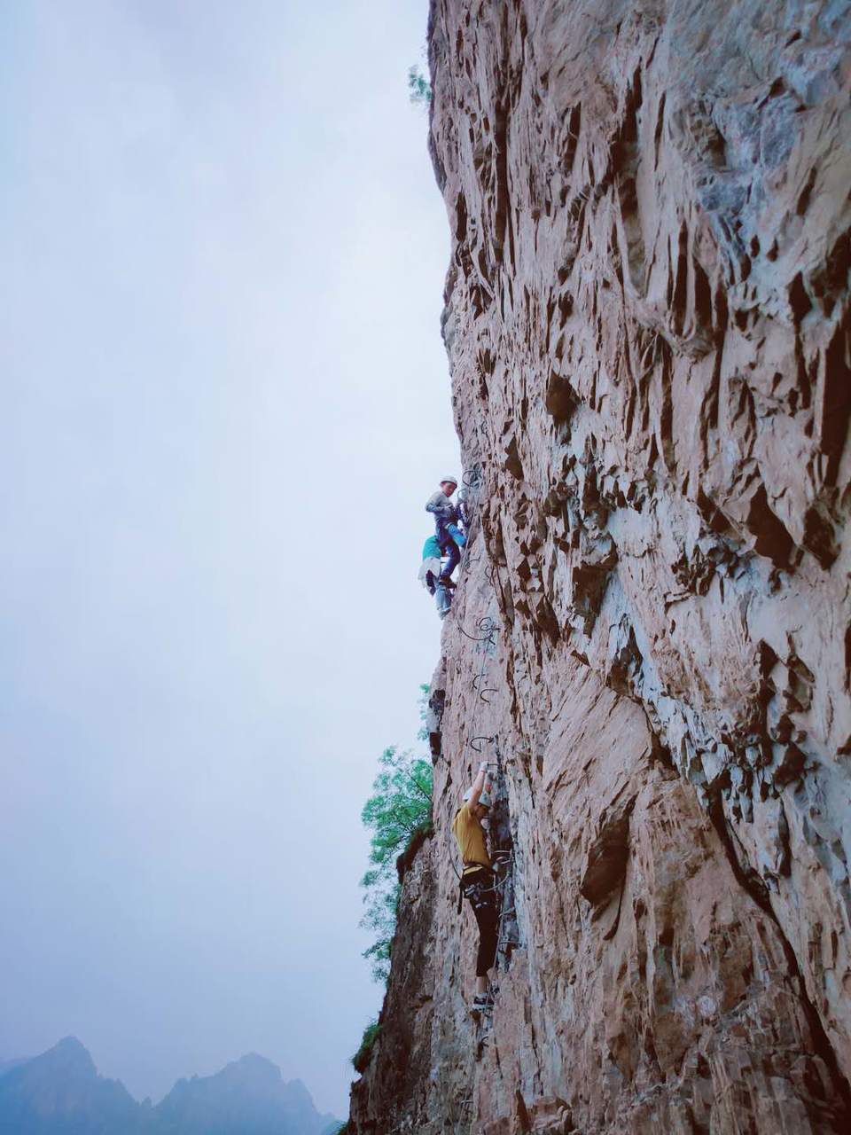 LPAS49LL4Jgc32R3oo3KnBdYMtQvA4I0Y8ldchT-mggVTX9ne2Fm0huGMcJOhxSW