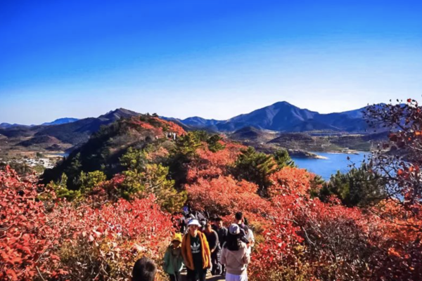11.5周日 | 小众绝美徒步栈道の一路湖光山色-金海湖环湖休闲徒步