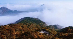 11.8周六 | 早知有盘山何必下江南-津门十景-红叶秋韵