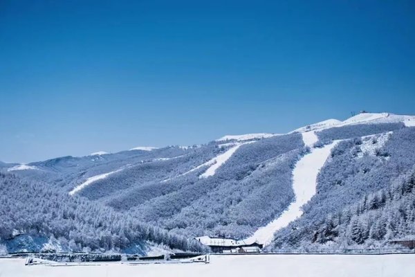滑雪 | 云顶密苑滑雪场2.14-16日周末 冬奥会场地&教练带队