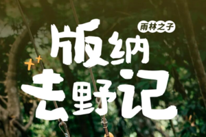 版纳去野记｜雨林秘境+曼听公园+野象谷+傣族园+中科院植物园 | 5天4晚小团