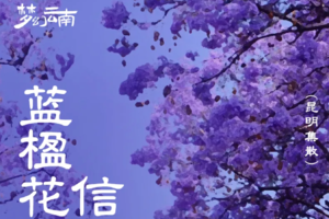 赏花限定 | 蓝花楹·凤凰花·索玛花+元谋土林+九十九里温泉 | 6天5晚