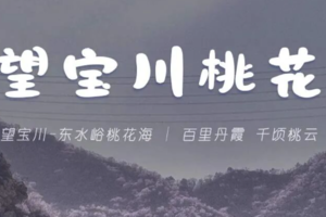 4.4周六 | 百里丹霞千顷桃云の望宝川-东水峪桃花海徒步