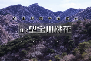 4.5周日 | 百里丹霞千顷桃云の望宝川-东水峪桃花海徒步