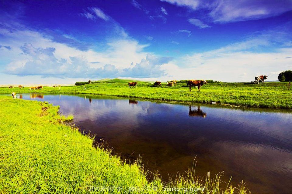 点击图片，划动大图欣赏